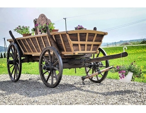 Fuhrwerk Leiterwagen...