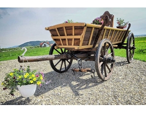 Fuhrwerk Leiterwagen... 2