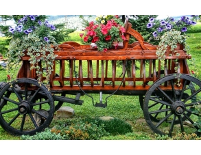 Fuhrwerk Leiterwagen...