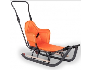 Schlitten aus Metall Blau... 2