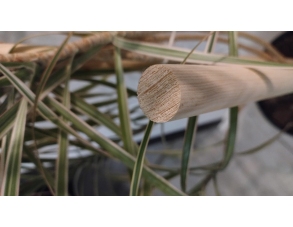 50 x Pflanzstab Rundstab Ø... 2